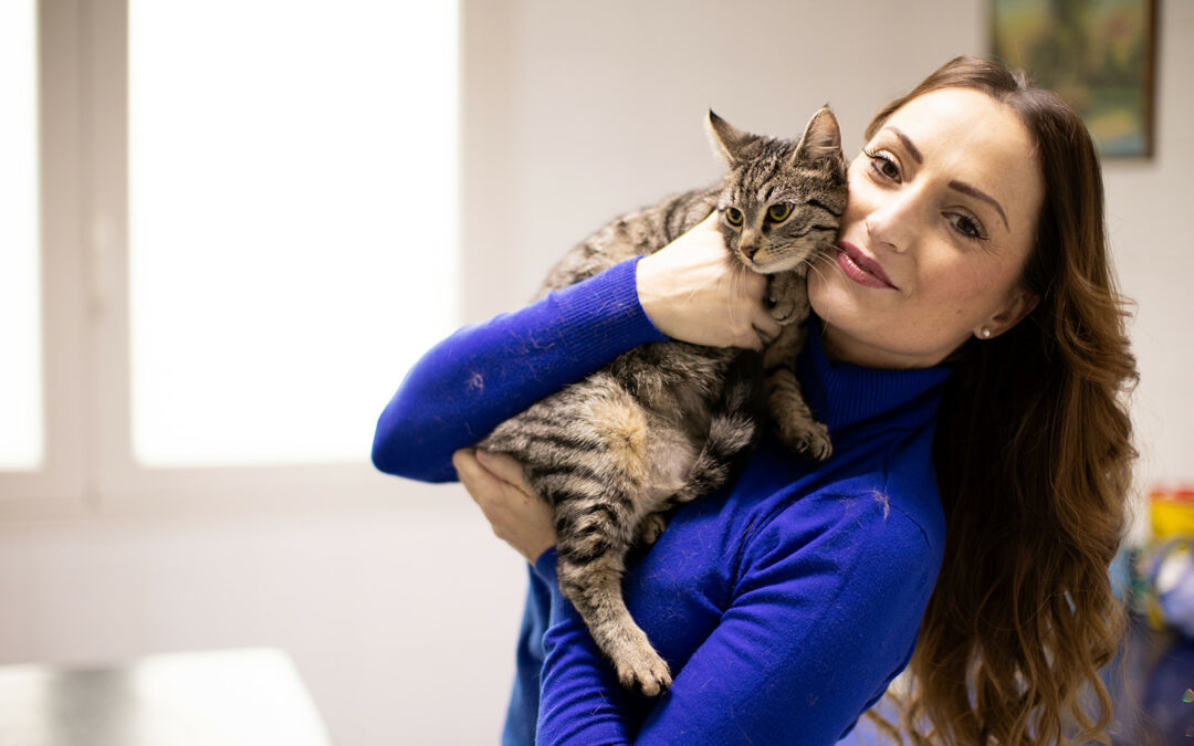 Il benessere felino: guida completa ai trattamenti antiparassitari per gatti