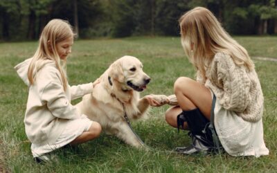 Adottare un animale: consigli e considerazioni