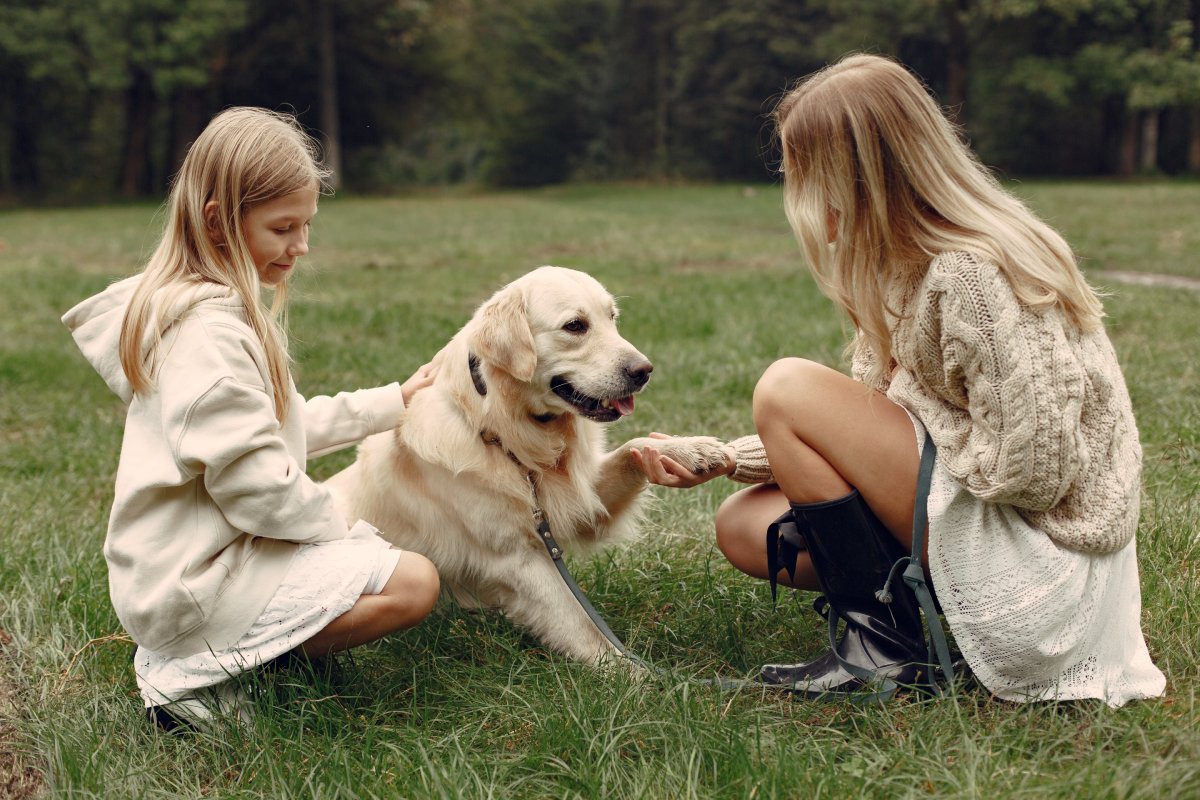 Adottare un Animale Consigli e Considerazioni