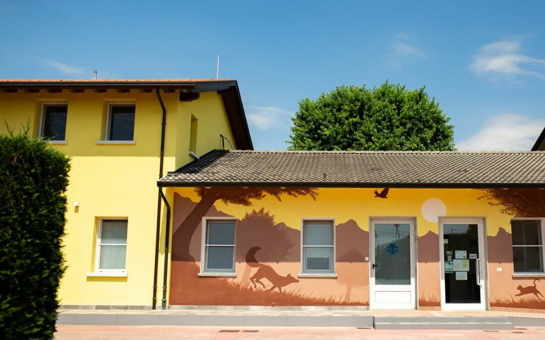 Qui si fa ancora veterinaria con il cuore….