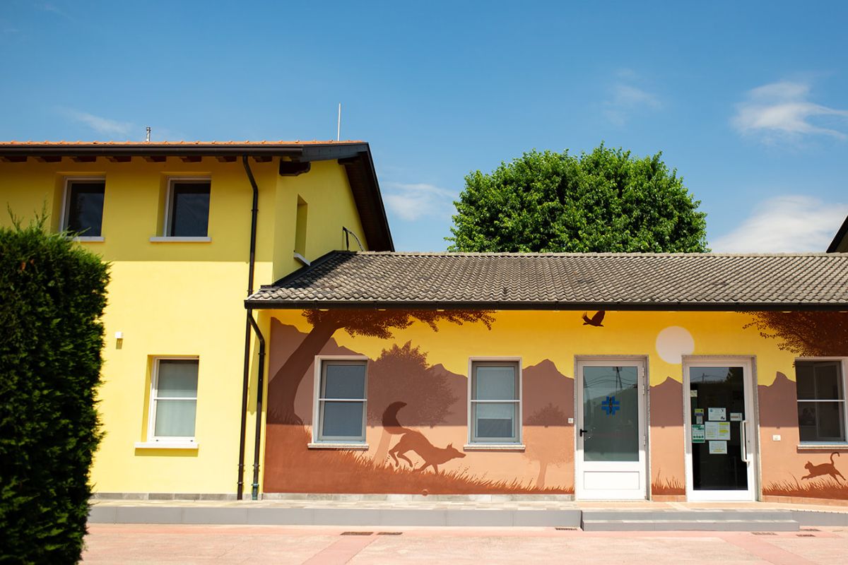 Clinica Veterinaria Marzotto Clinica Veterinaria Marzotto