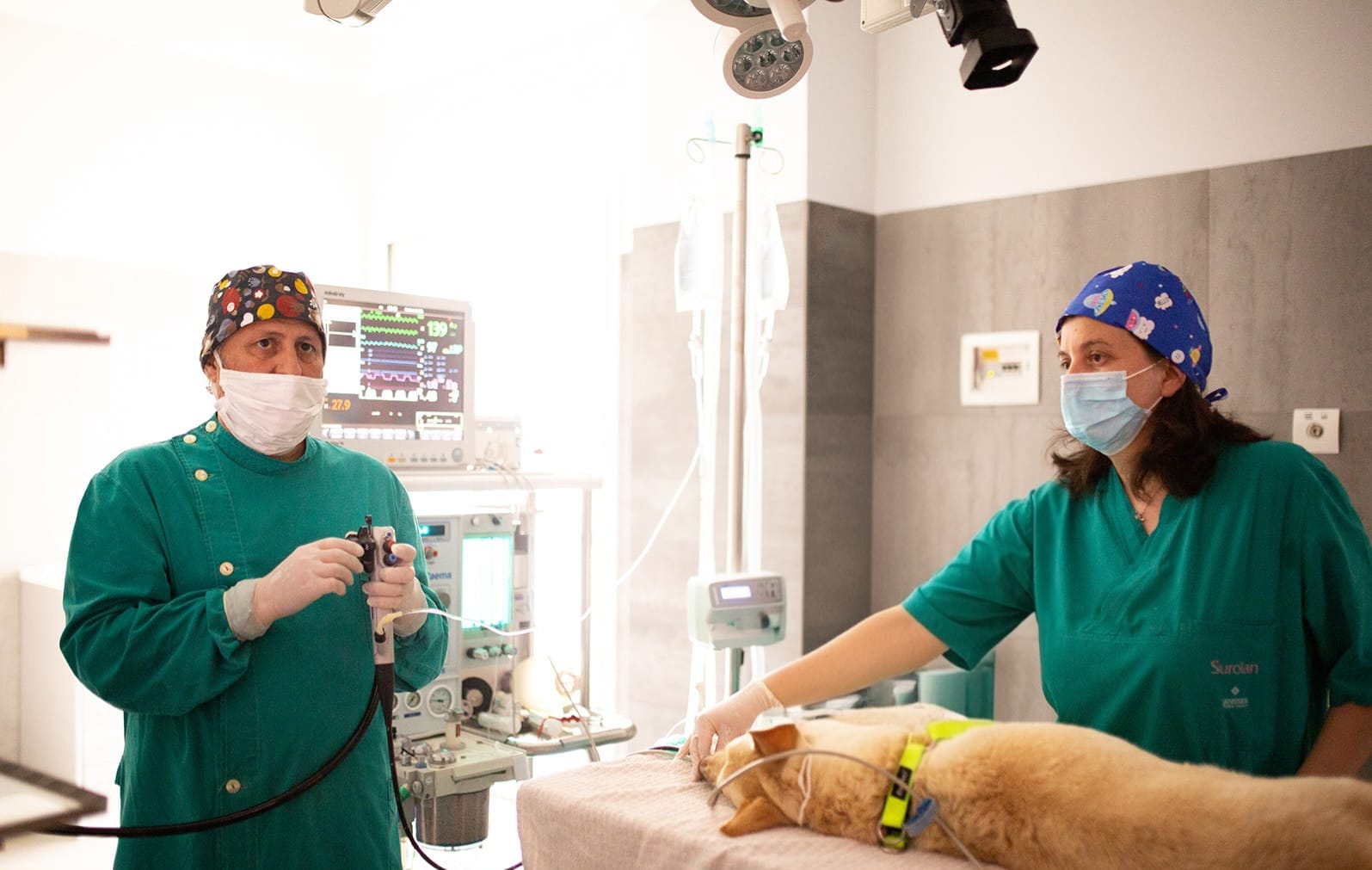 Clinica Veterinaria Marzotto Clinica Veterinaria Marzotto