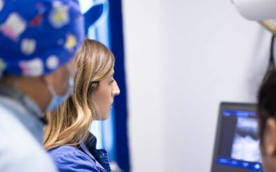 Anestesia e terapia del dolore nel paziente animale: come la Clinica Marzotto garantisce interventi sicuri e senza stress