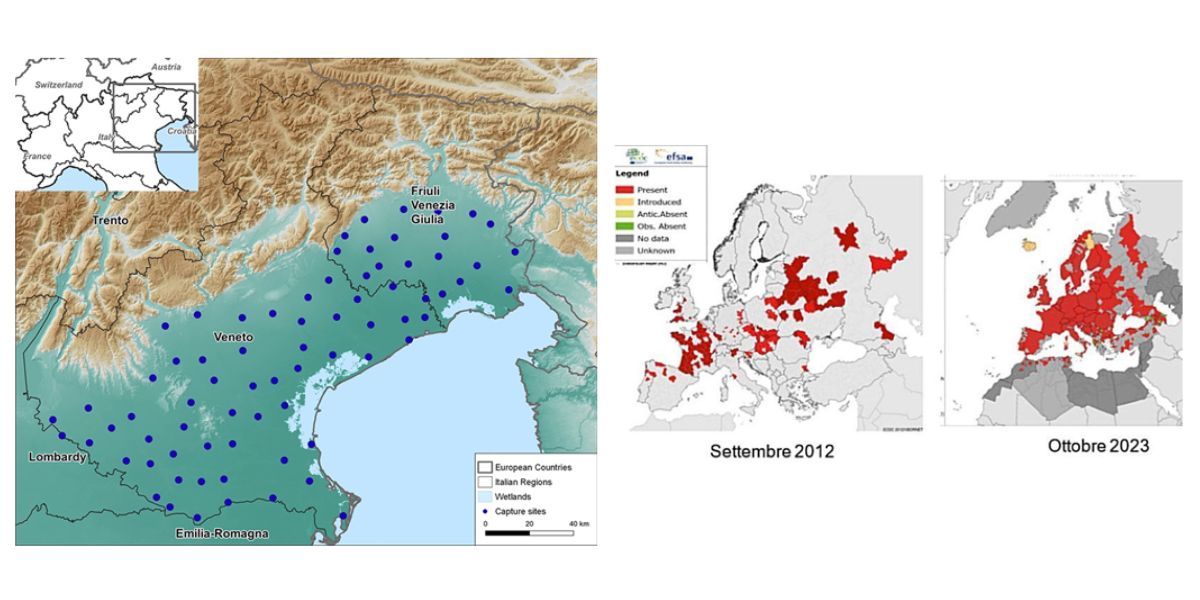 Incidenza geografica